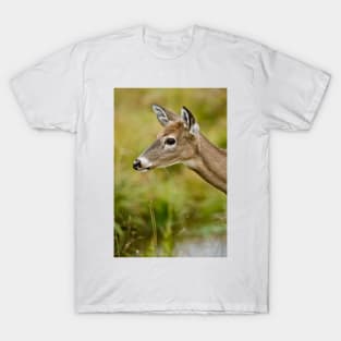 White -tailed Deer T-Shirt